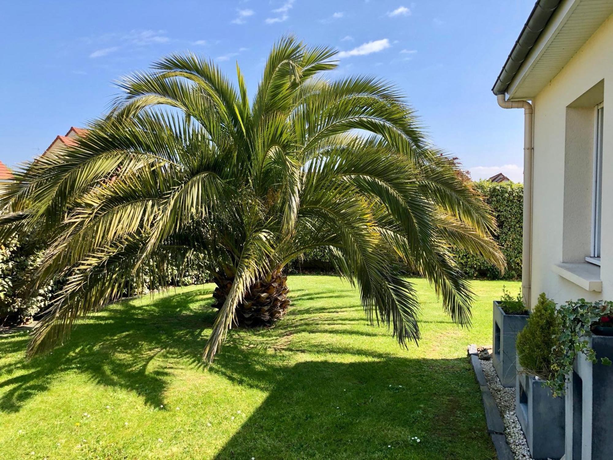 Les Palmiers Gite 7 Personnes Plages Du Debarquement Grandcamp-Maisy Exterior photo